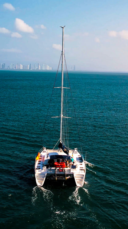 Catamarán 56'