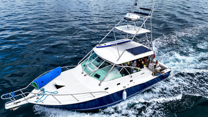Yate 35' Cabo