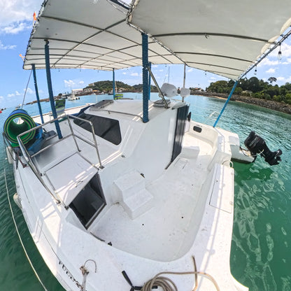 Catamarán 37'