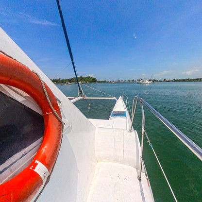 Catamarán 59'