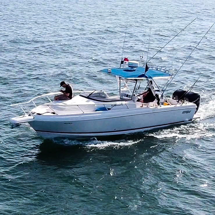 Lancha Rápida 34' Intrepid