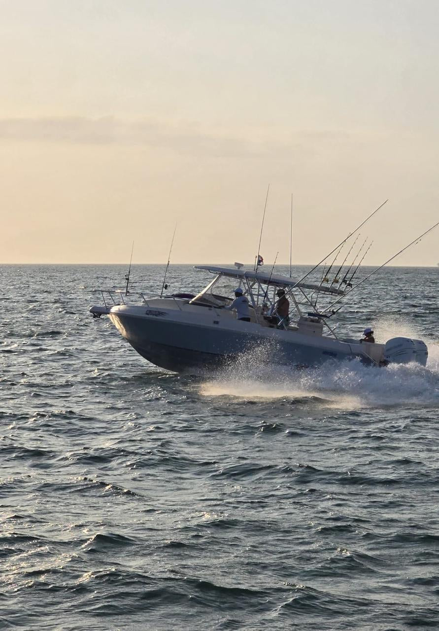 Speed ​​Boat 38'