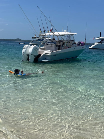 Speed ​​Boat 38'